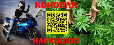 не бодяженный Камышлов