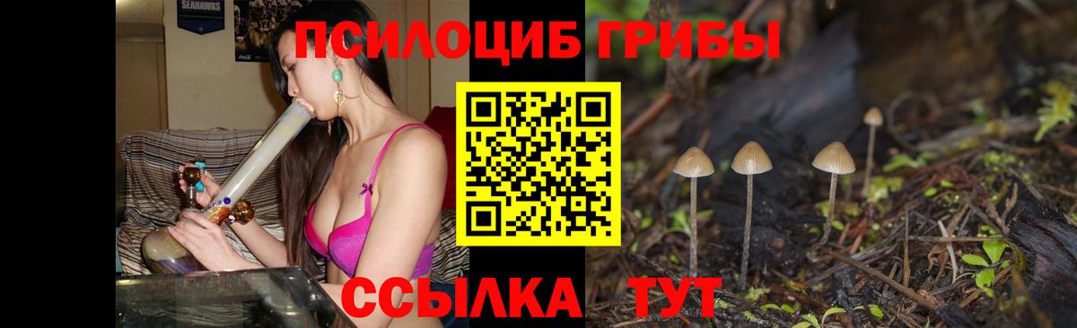 Галлюциногенные грибы MAGIC MUSHROOMS Красноярск